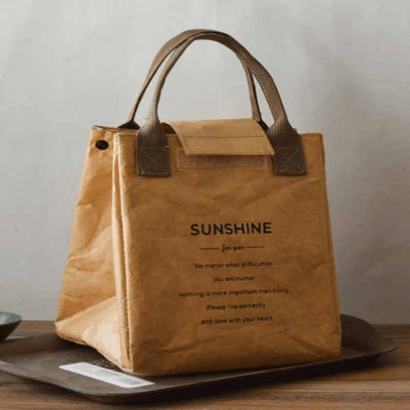 brown tyvek lunch bag